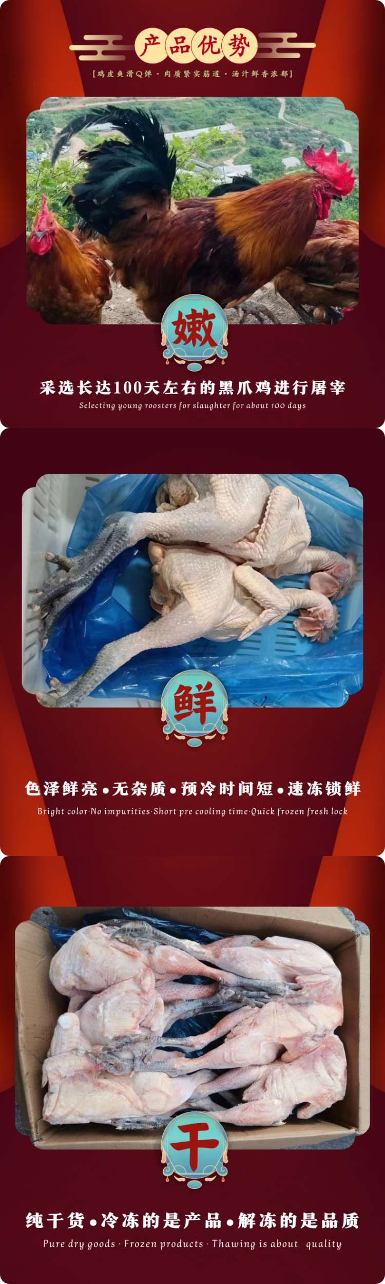 黑爪公鸡2.jpg
