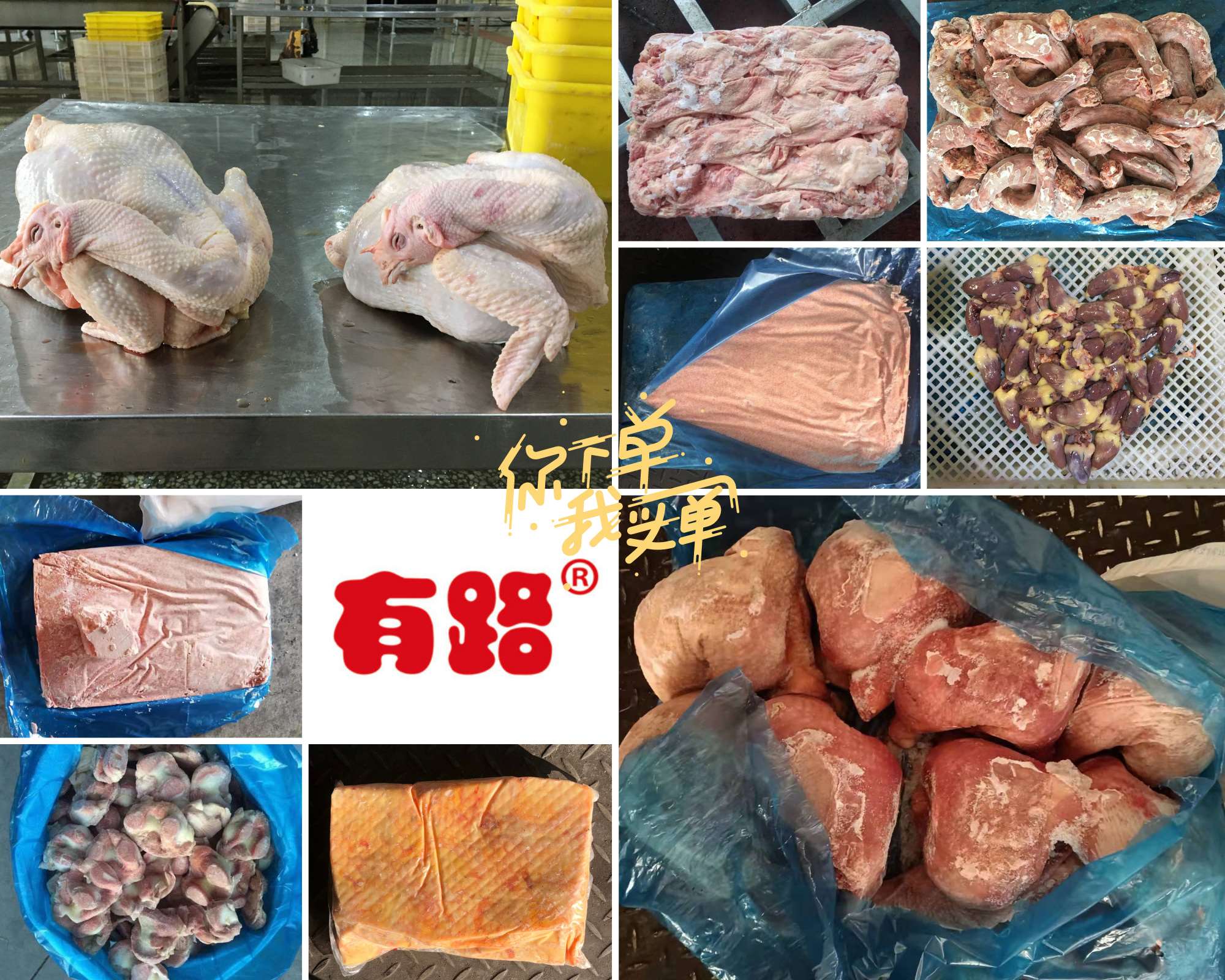 生品主打产品拼图2.jpg