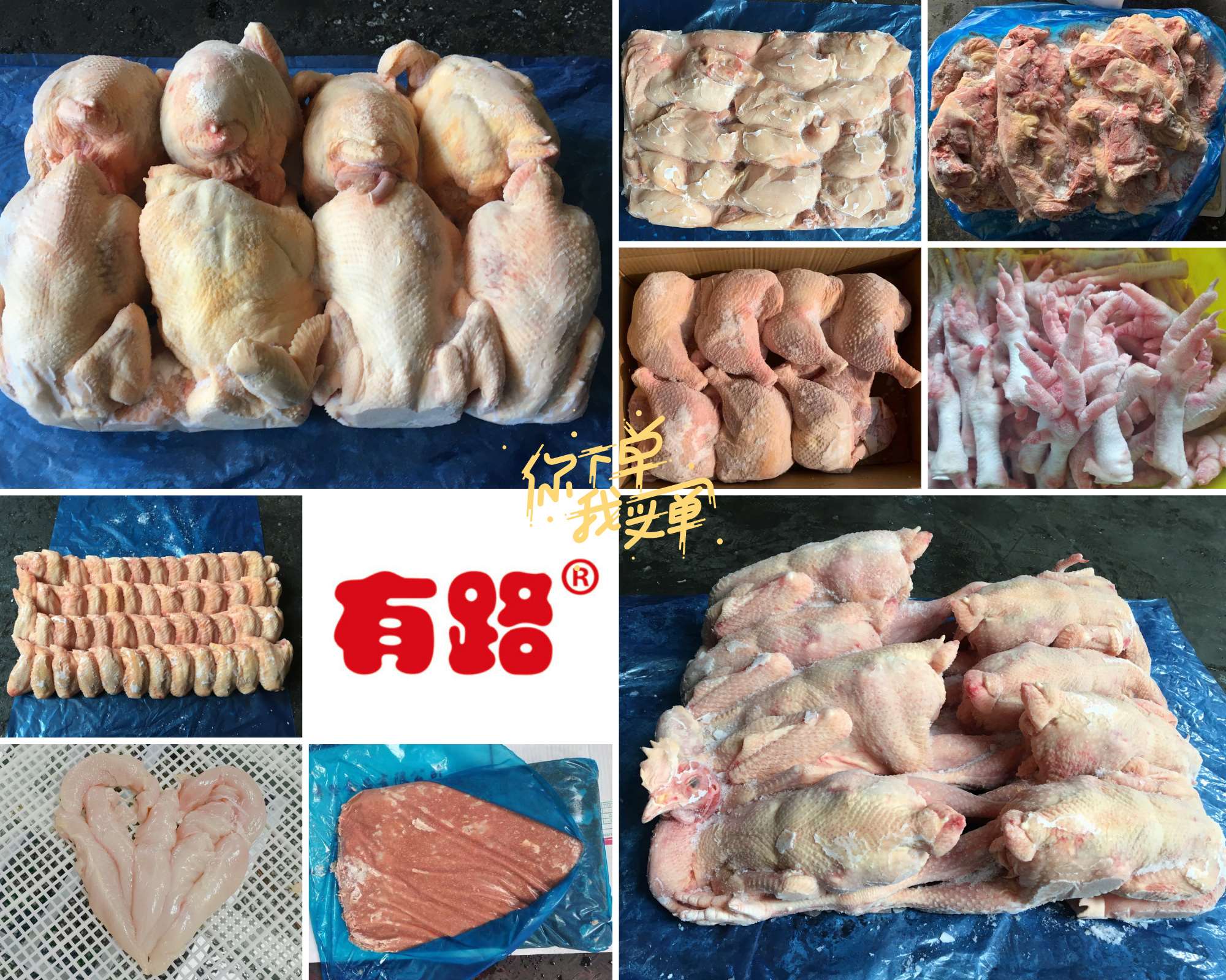 生品主打产品拼图1.jpg
